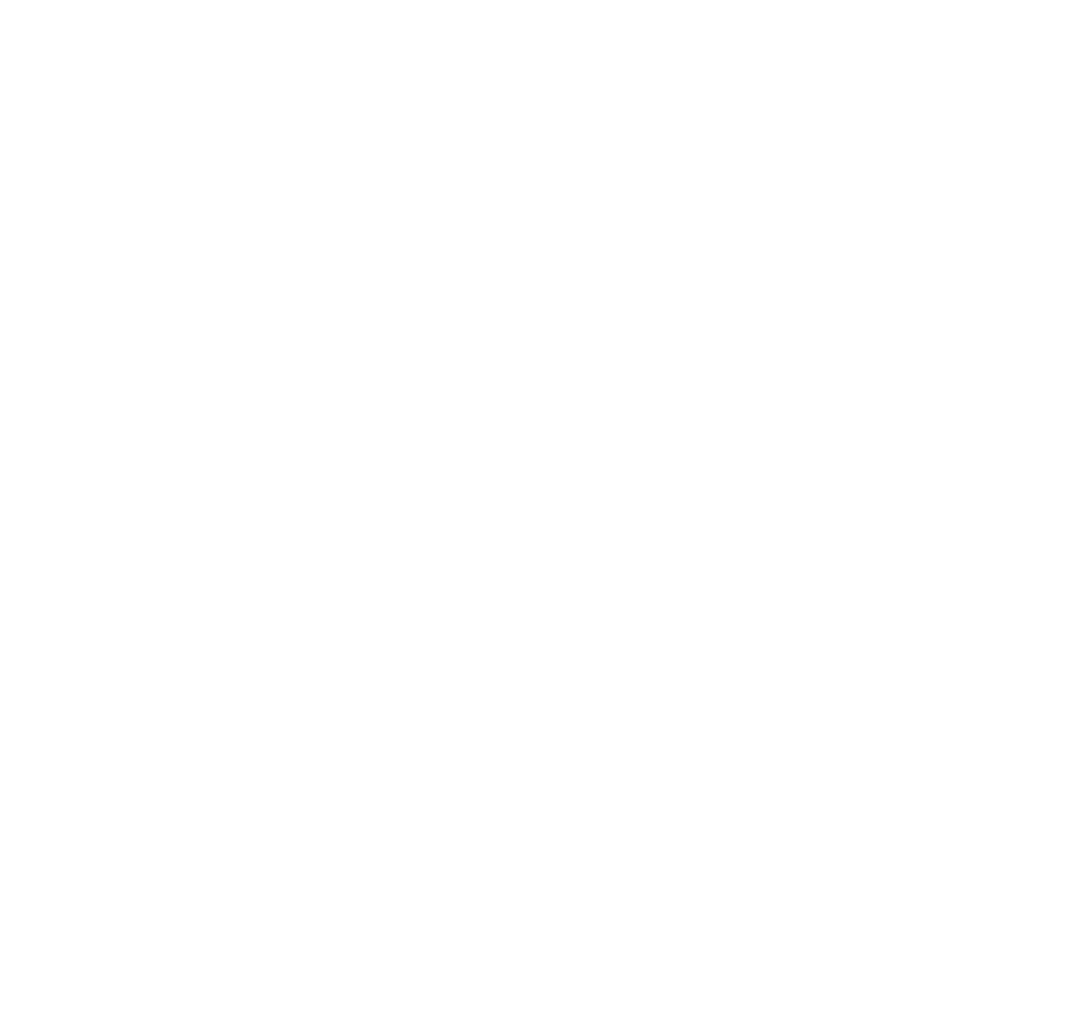 NADA White Logo